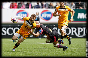 Stade Francais London Wasps
